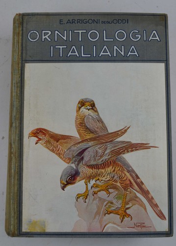 Arrigoni degli oddi - degli,