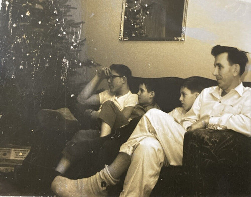 Famiglia anni divano - famiglia, su