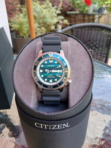 Citizen bn0167 09w promaster - citizen, bn0167-09w
