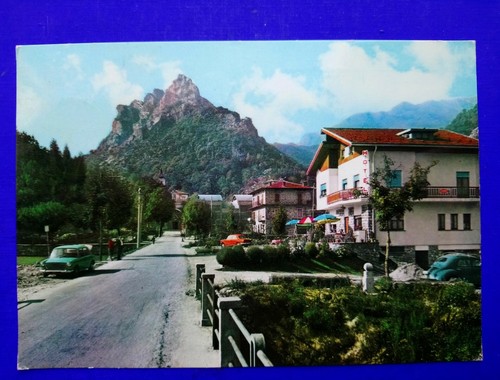Cartolina foto vernante - cartolina,