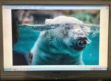 Monitor  PC  19 pollici