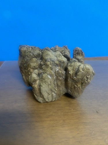 Pietra naturale suiseki