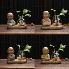 Pianta verde in vaso pianta