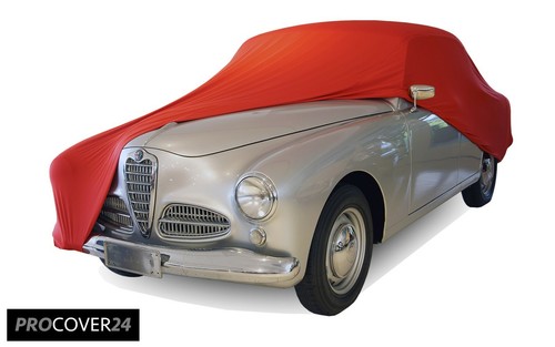 Telo auto alfa - telo,