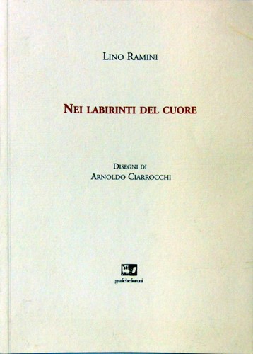 Libro nei labirinti del - nei,