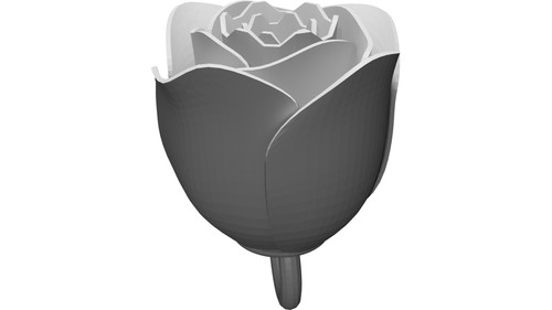 Anello rosa decorativo - rosa,