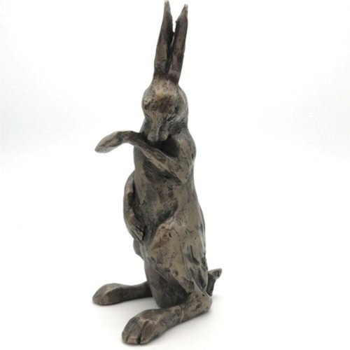 Henrietta hare sculpture - hare, by