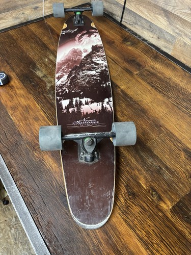 Skateboard longboard swift - skateboard,