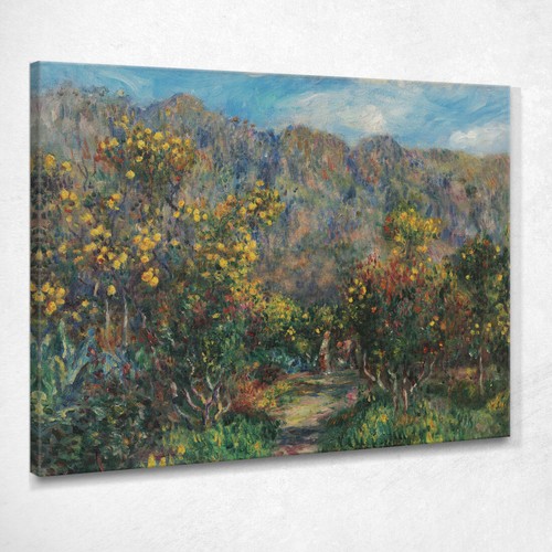 Paesaggio con mimose parco - mimose, les