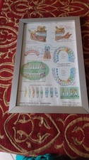 Poster odontoiatrico anni - poster, 60