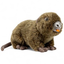 Carl Dick ratto castoro