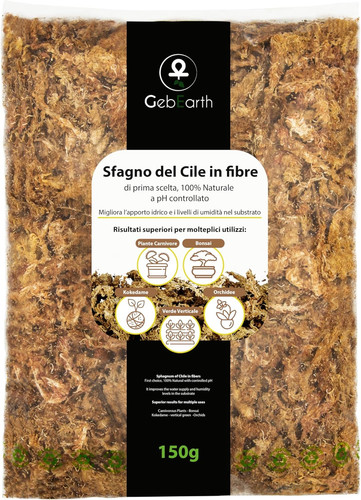 Sfagno cileno in fibre - in,