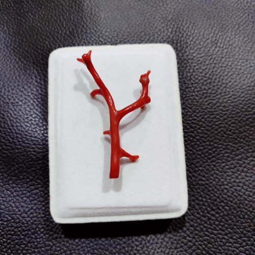 Ramo corallo rosso naturale - ramo,