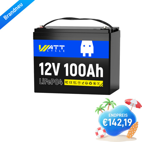 Batteria litio 12v 100ah - litio,