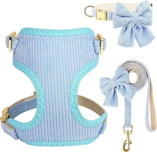 Pettorina per cani