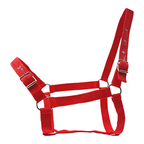 Cavezza per cavalli accessori - cavezza,
