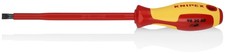 Tools 98 20 80 Cacciavite a
