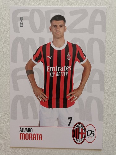 Cartolina postcard ufficiale - cartolina,