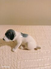 Cane In Porcellana Pointer Cucciolo Danimarca