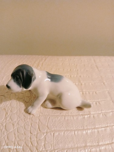 Cane porcellana pointer - cane, in