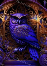 Gufo Reale Con Piume Di