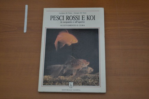 Tizio pesci rossi koi - tizio,