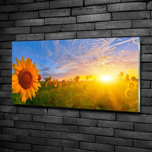 Tulup pittura vetro - tulup,