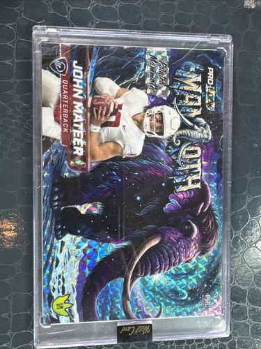2025 wild card painted mammoth - wild,