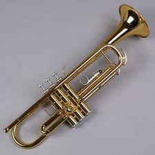 Tromba standard Yamaha Bb YTR-3335 con custodia EMS con tracciamento NUOVA