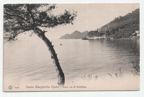 Santa margherita ligure - ligure,