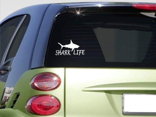 Adesivo shark life - shark, *e877*