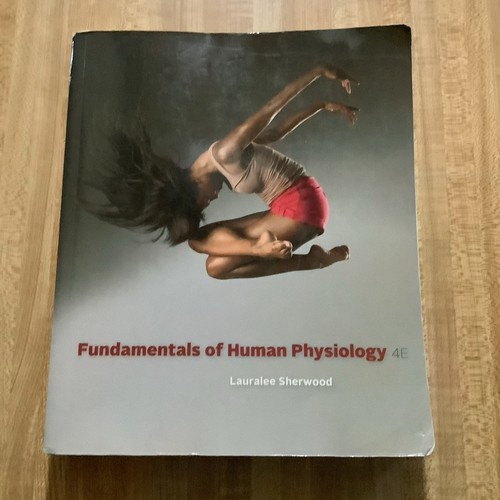 Fundamentals human - fundamentals,