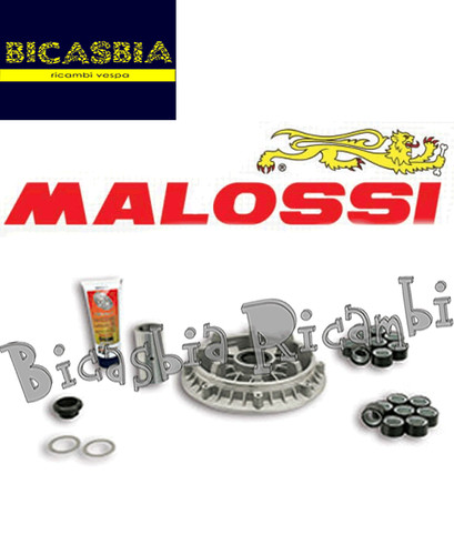 7072 variatore multivar 2000 - 7072,