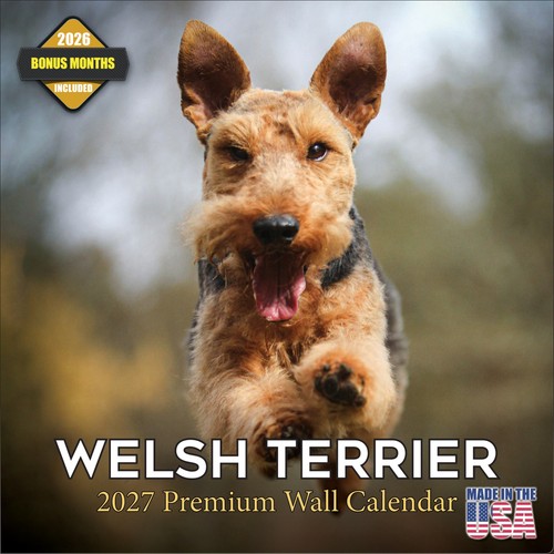 Calendario parete welsh - da,
