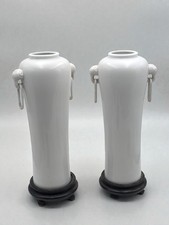 Coppia di vasi cinesi