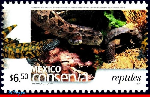 2422 messico 2005 - 2422,