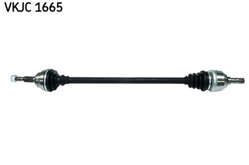 Skf vkjc 1665 - 1665, semiasse