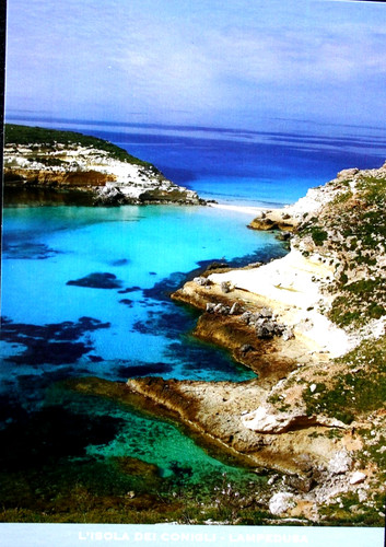 Cartolina collezione - cartolina,