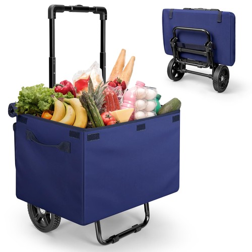Carrello della spesa