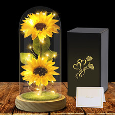 Girasole Regalo Di San