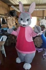 Costume mascotte professionale