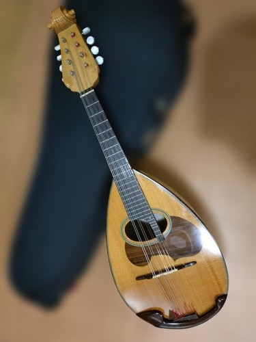 Corpo mandolino suzuki m150 - suzuki,