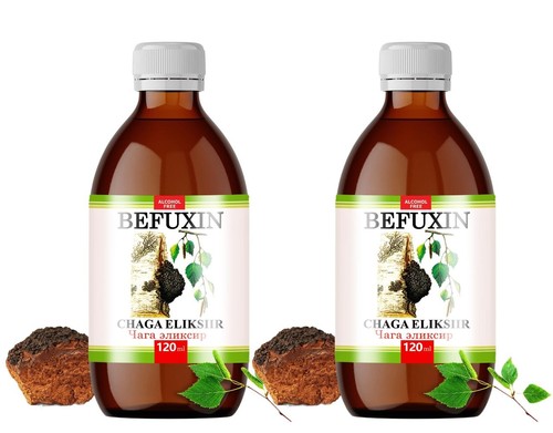 Elisir befuxin chaga - elisir,