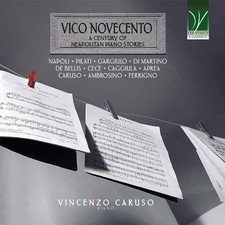 Vico Novecento: A Century Of