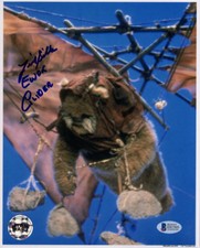 FOTO FIRMATA FELIX SILLA
