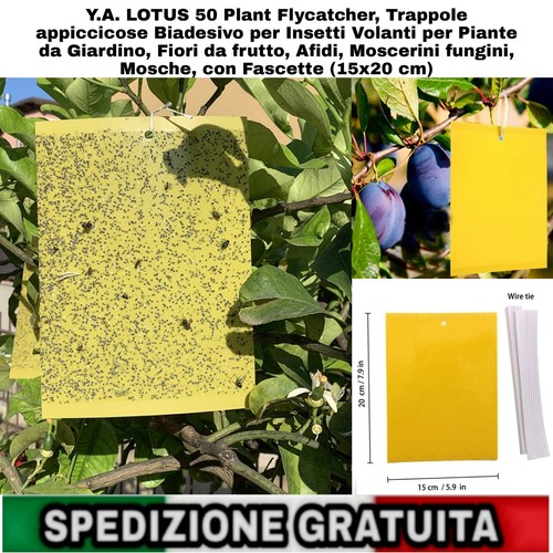 50pz trappole appiccicose - 50pz,