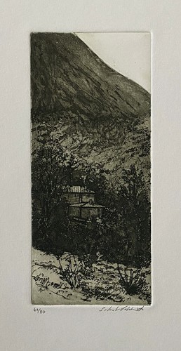 Silvestro pistolesi acquaforte - silvestro,