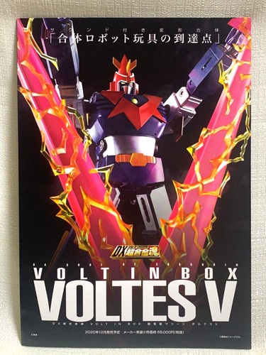Voltes foglietto 2020 - voltes,