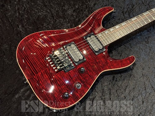 Esp horizon ctm black - fm,