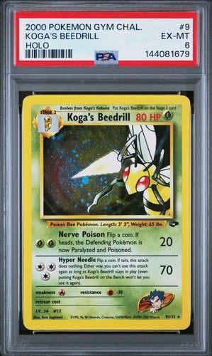 Pokemon 2000 sfida palestra - sfida,